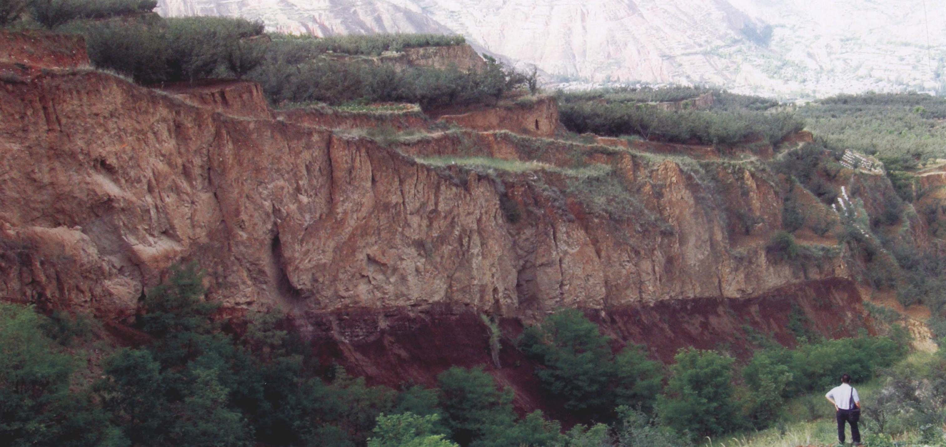 黃土—泥巖接觸面滑坡